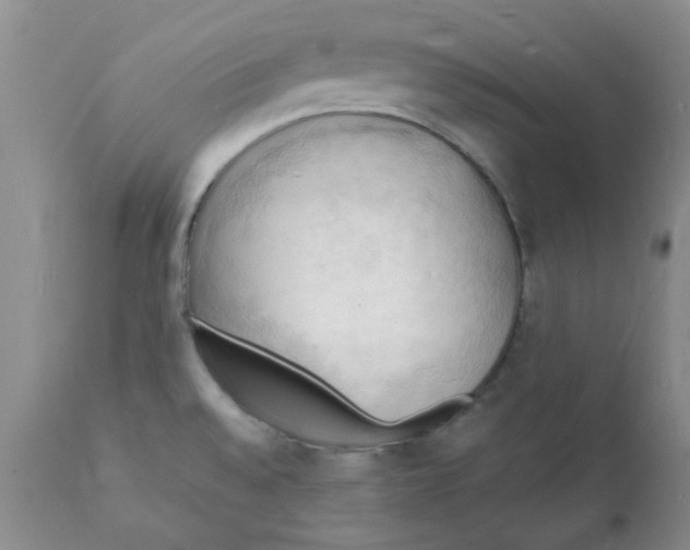 X0000112151528200909181410