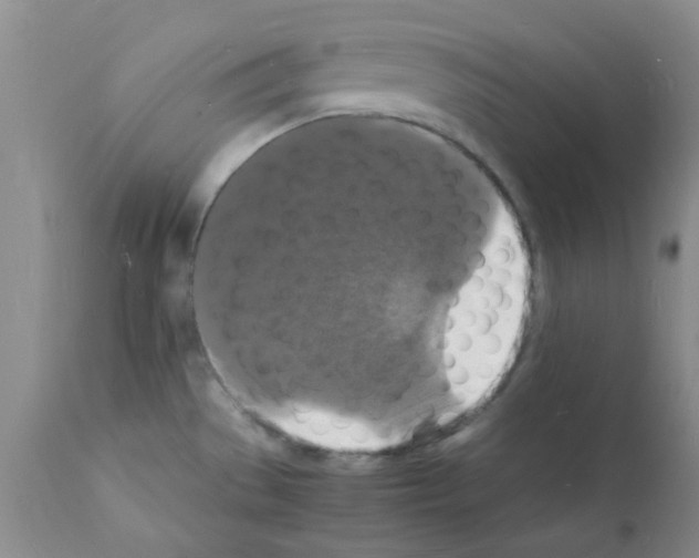 X0000112151529200909181410