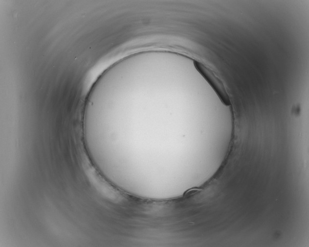 X0000112151530200909181410