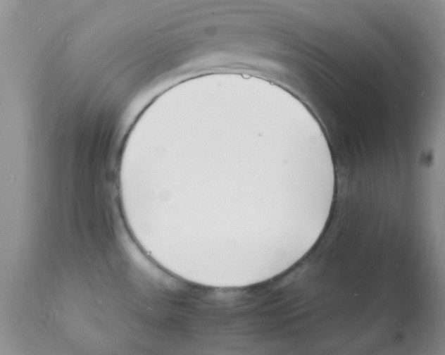 X0000112151531200909181410