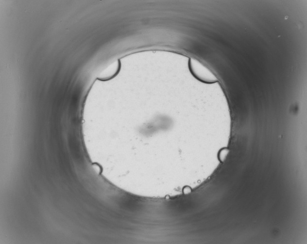 X0000112151532200909181410