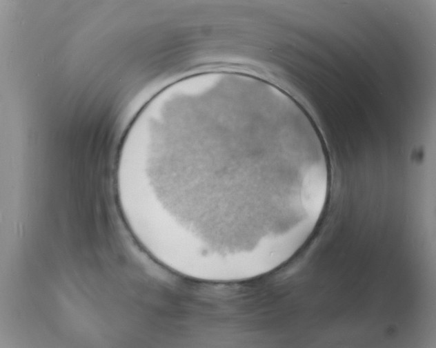 X0000112151533200909181410