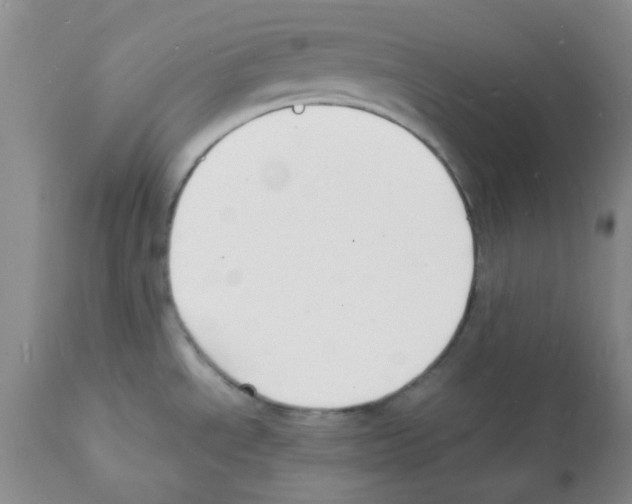 X0000112151534200909181410