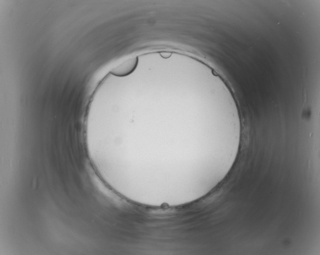 X0000112151535200909181410