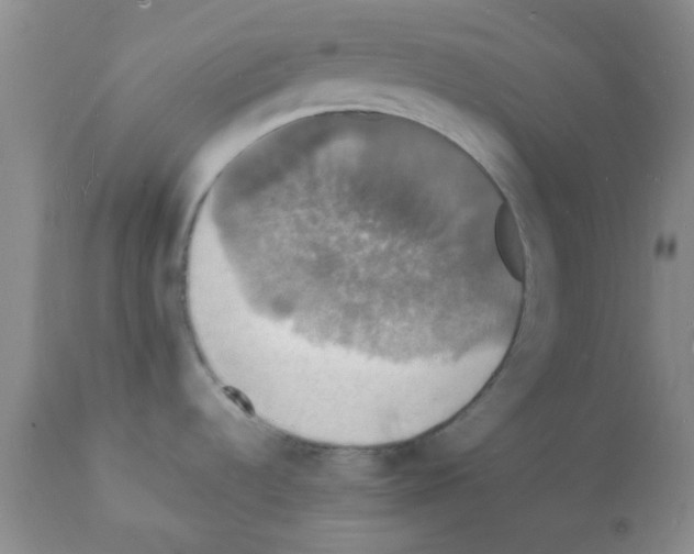 X0000112151536200909181410