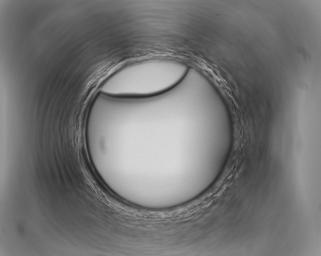 X0000112160002200908070948
