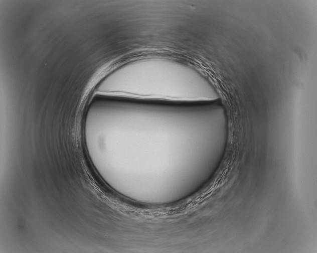 X0000112160004200908070948