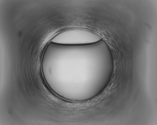 X0000112160005200908070948