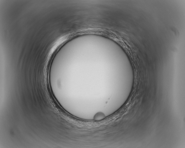 X0000112160006200908070948