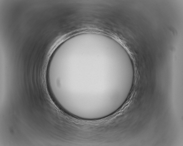 X0000112160007200908070948