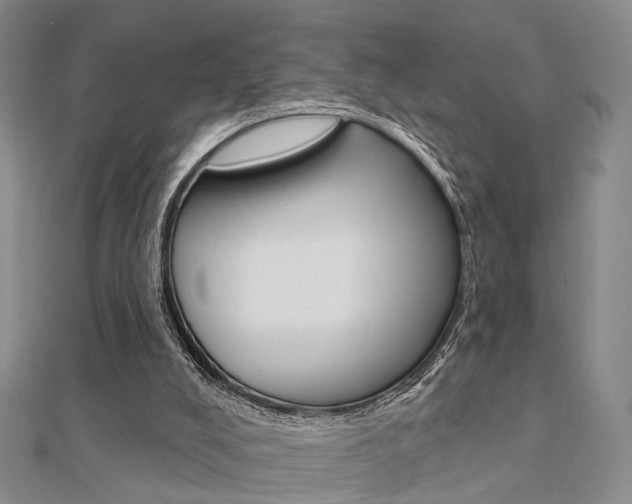 X0000112160008200908070948