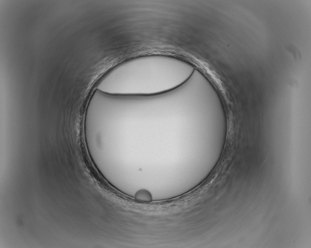 X0000112160010200908070948