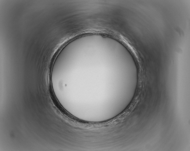 X0000112160011200908070948