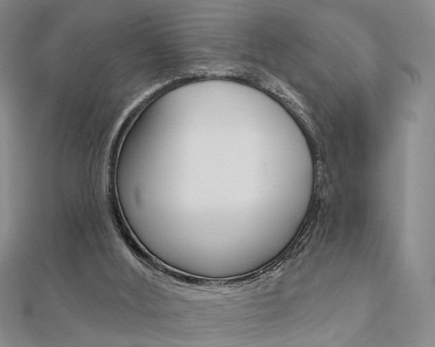X0000112160012200908070948