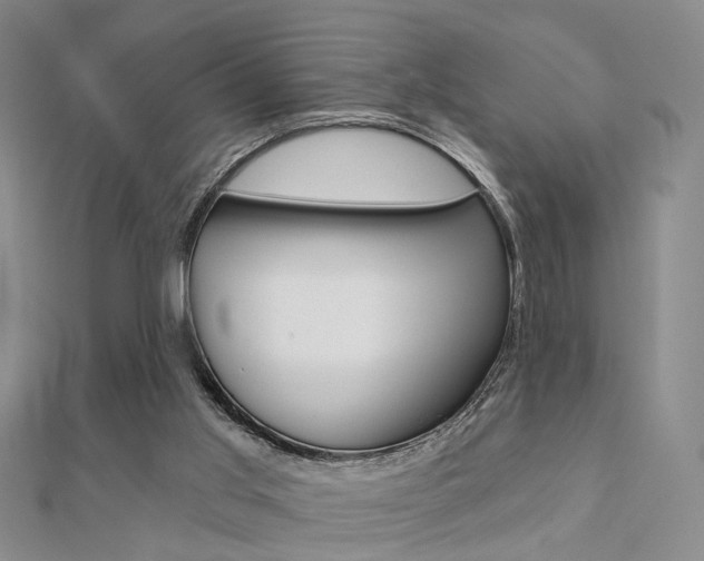 X0000112160013200908070948