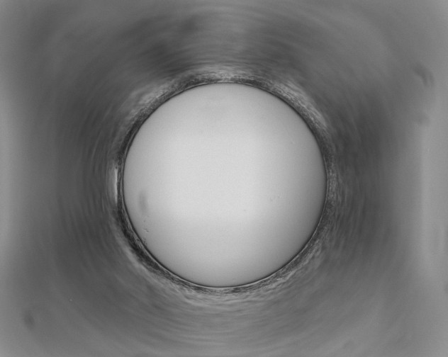 X0000112160014200908070948