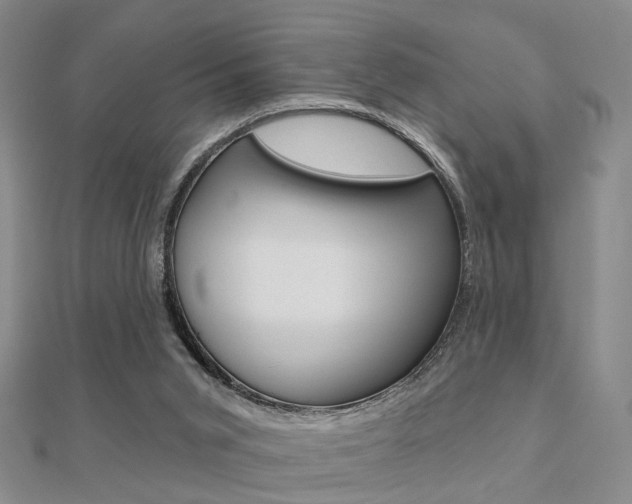 X0000112160015200908070948