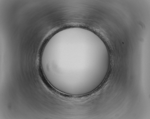 X0000112160016200908070948