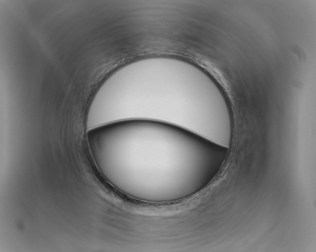 X0000112160017200908070948