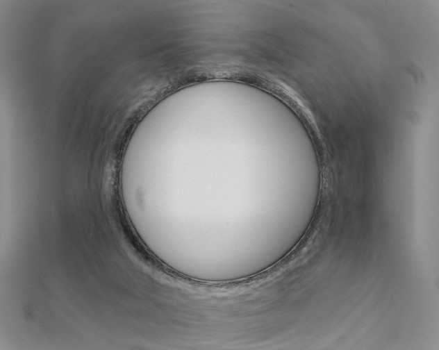 X0000112160018200908070948