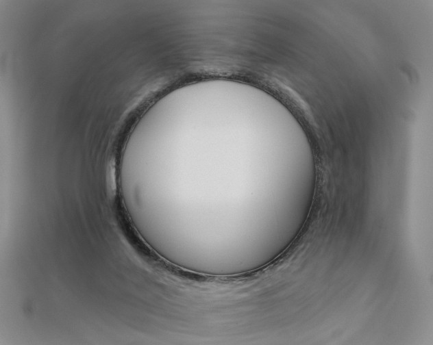 X0000112160020200908070948