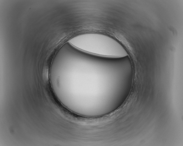 X0000112160021200908070948
