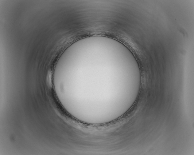 X0000112160022200908070948