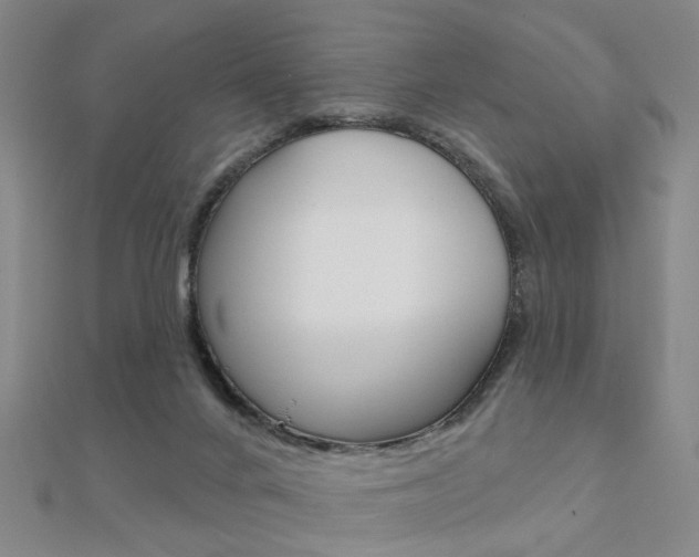 X0000112160024200908070948