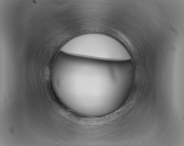 X0000112160025200908070948