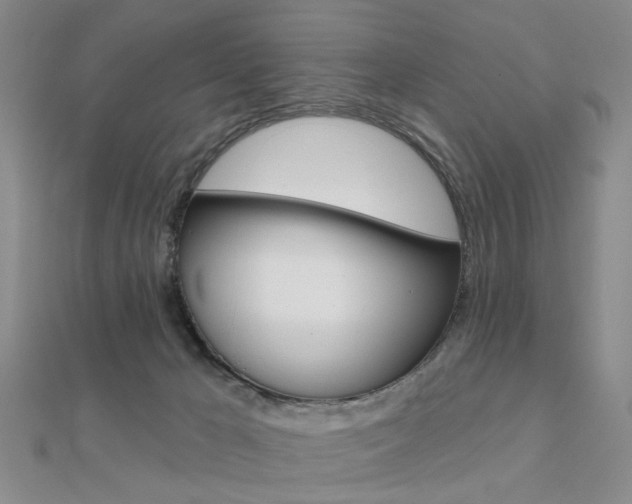 X0000112160029200908070948
