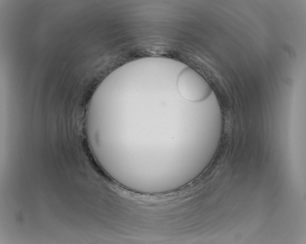 X0000112160030200908070948
