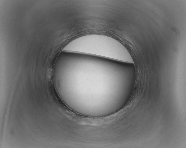 X0000112160033200908070948
