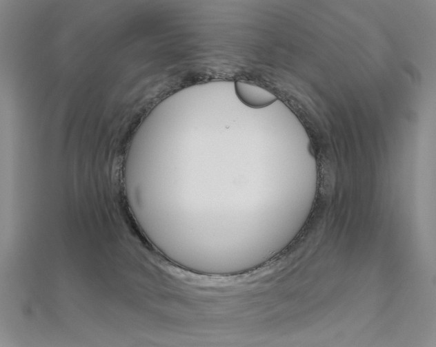 X0000112160034200908070948