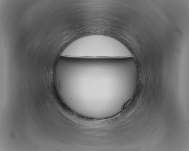 X0000112160036200908070948