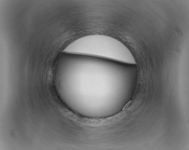 X0000112160037200908070948