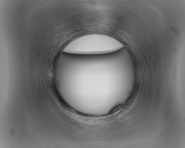 X0000112160040200908070948