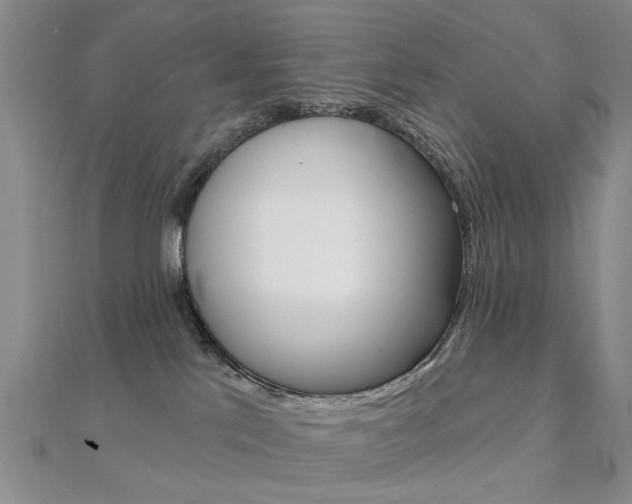 X0000112160041200908070948