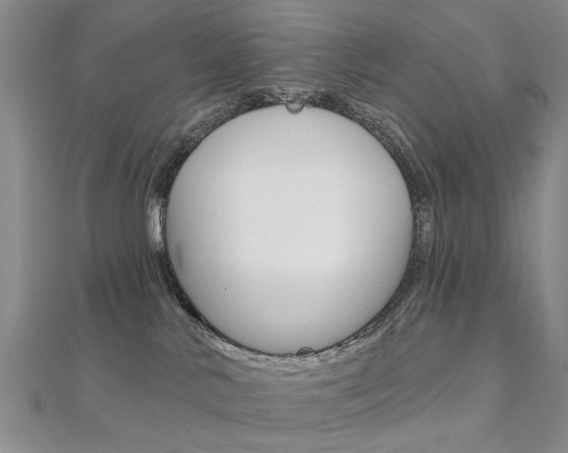 X0000112160042200908070948