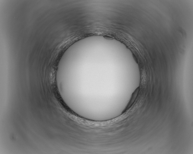 X0000112160043200908070948
