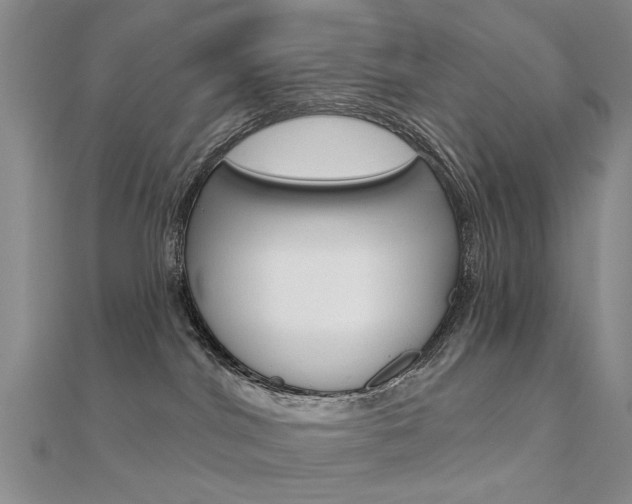 X0000112160044200908070948