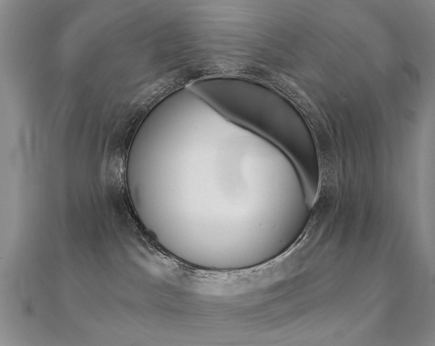 X0000112160045200908070948