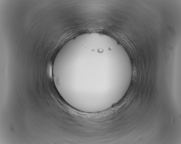 X0000112160046200908070948