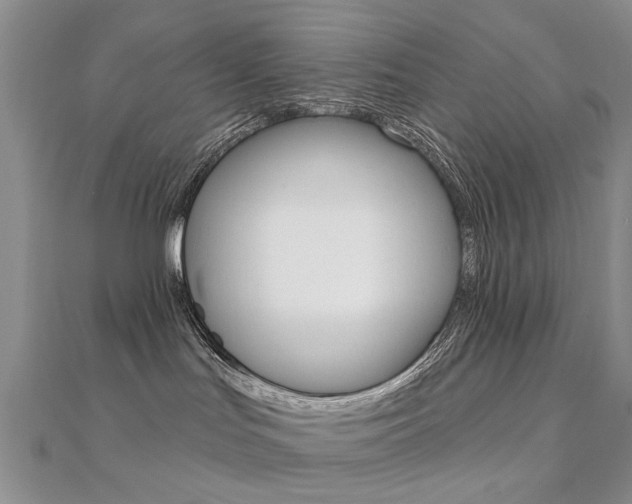 X0000112160047200908070948