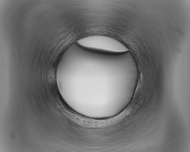 X0000112160048200908070948