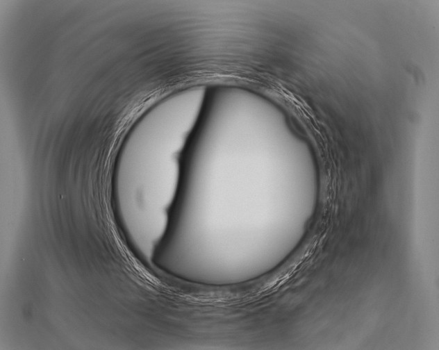 X0000112160049200908070947