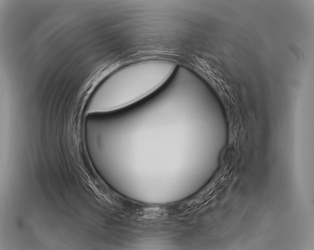 X0000112160050200908070947