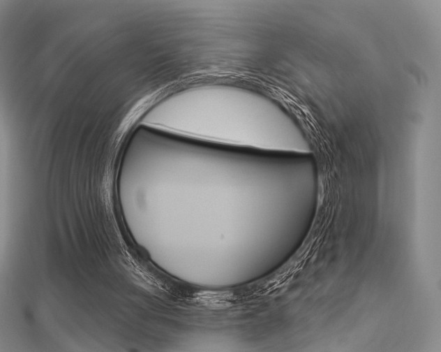 X0000112160051200908070947