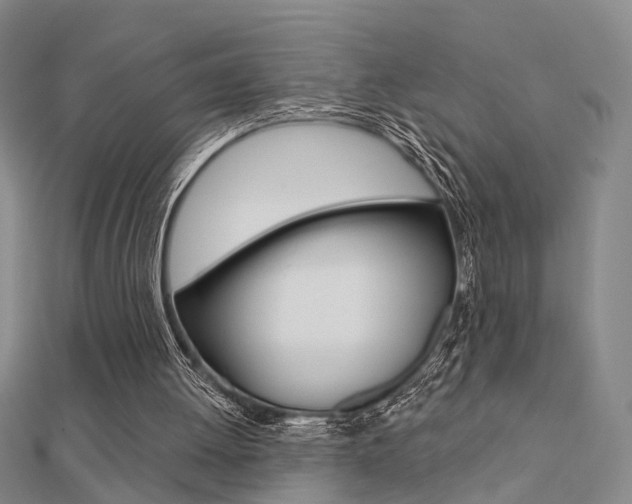 X0000112160052200908070947