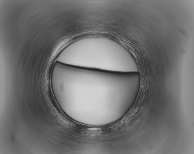 X0000112160053200908070947