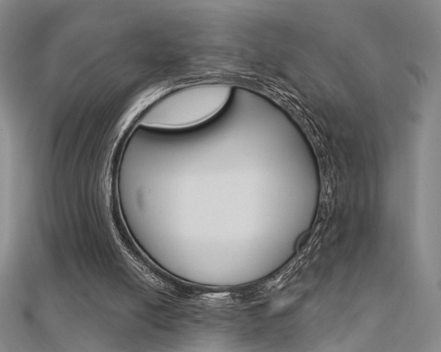 X0000112160054200908070947